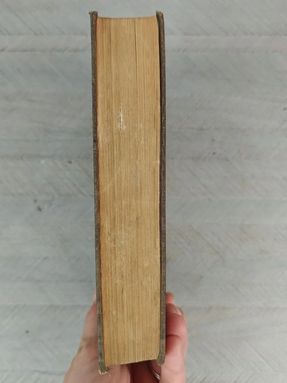 The Day Of The Beast Zane Grey 1922 Hardcover Western Fiction